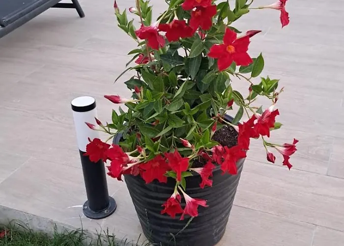 Marina * Биоград-на-Мору