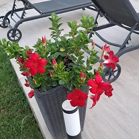 Villa Marina Biograd Na Moru