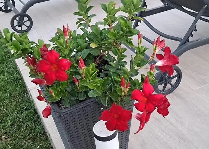 빌라 Marina 비오그라드나모루